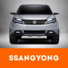 Sangyong Remapping Londonderry